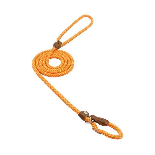 Nylon-Welpengeschirrset
