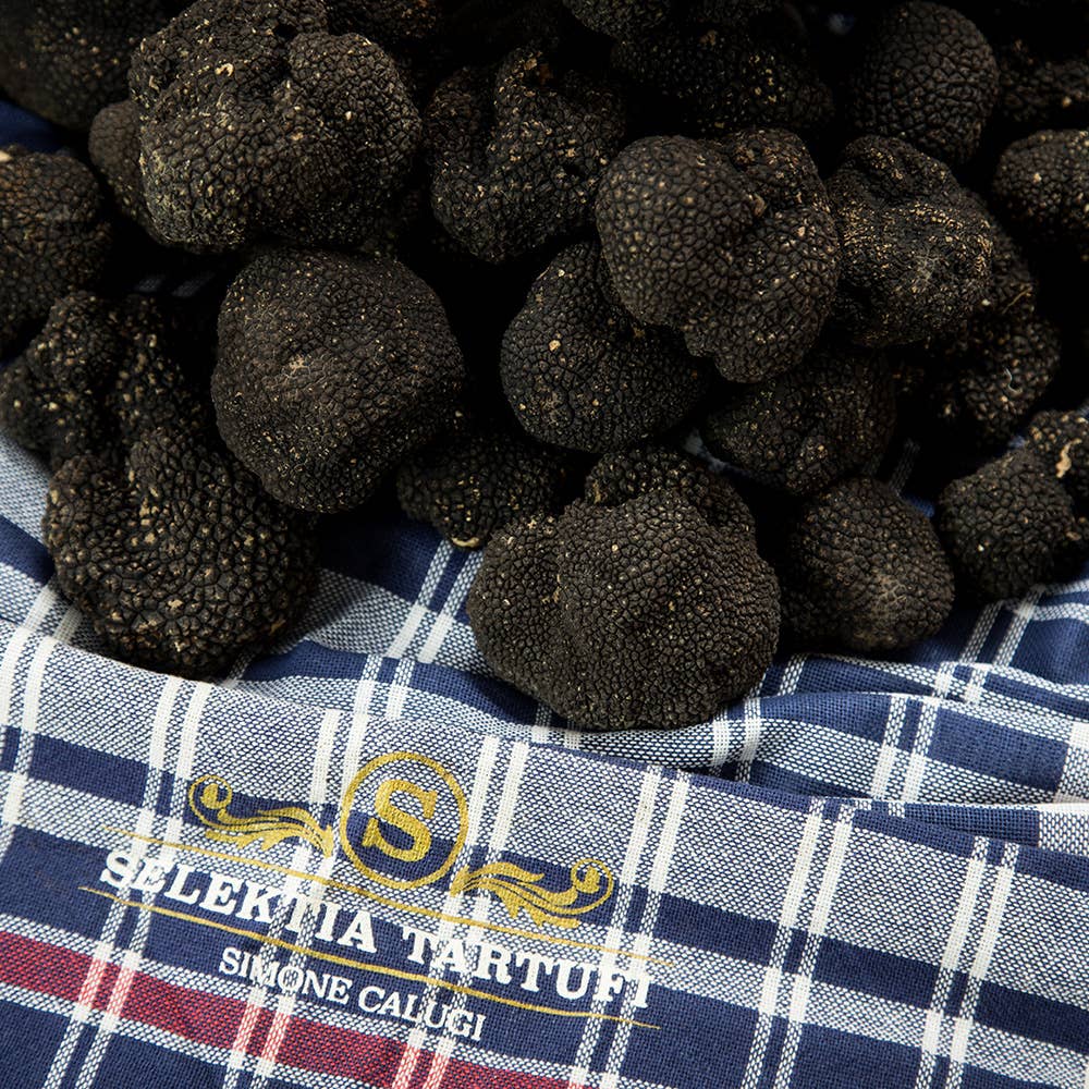 Selektia Tartufi - Tartufo Estivo (Tuber Aestivum Vitt.): 100 g