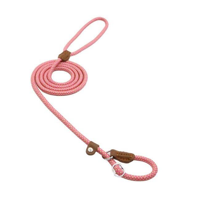 Nylon-Welpengeschirrset