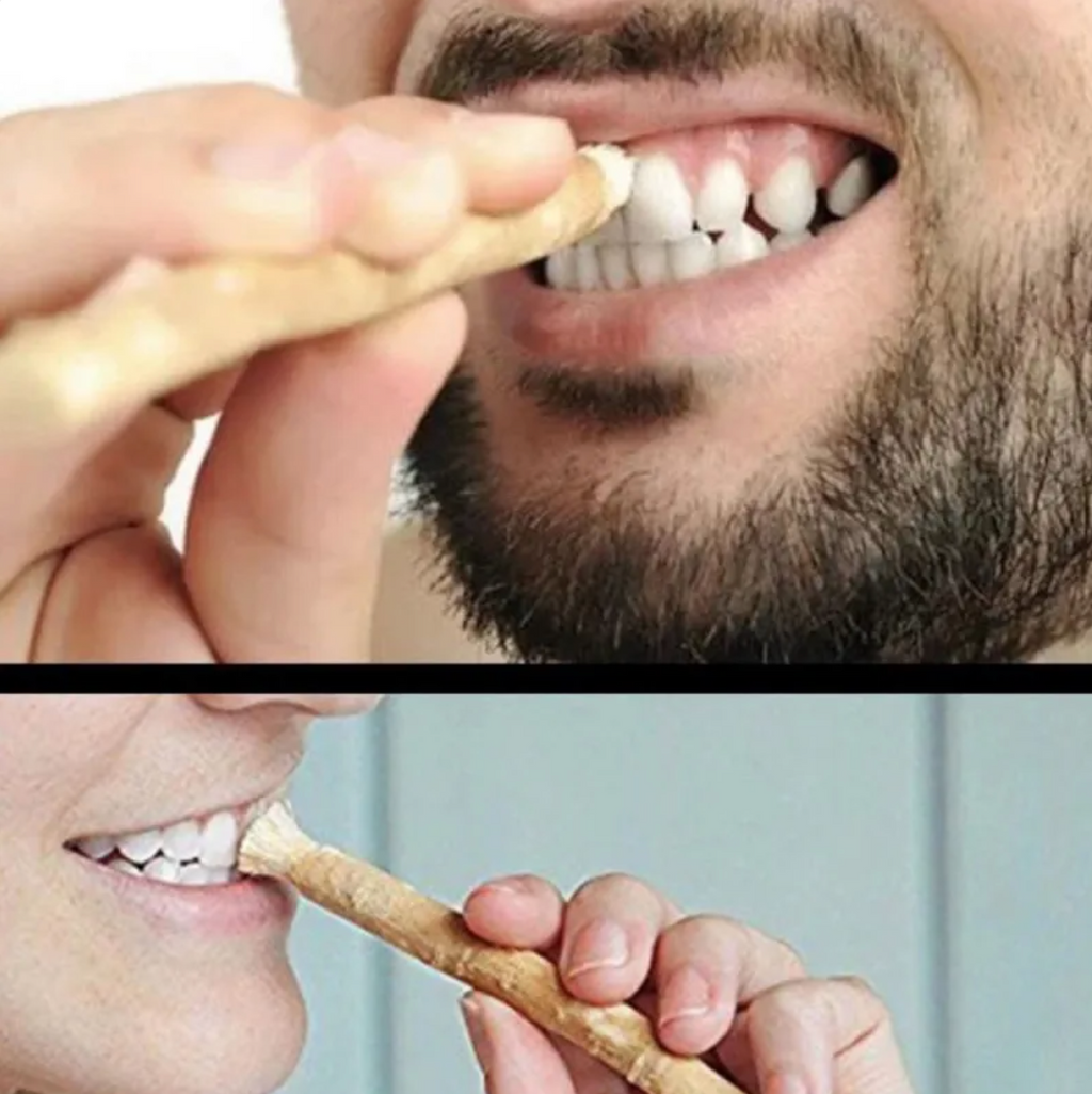 Miswak-Zahnputzstock