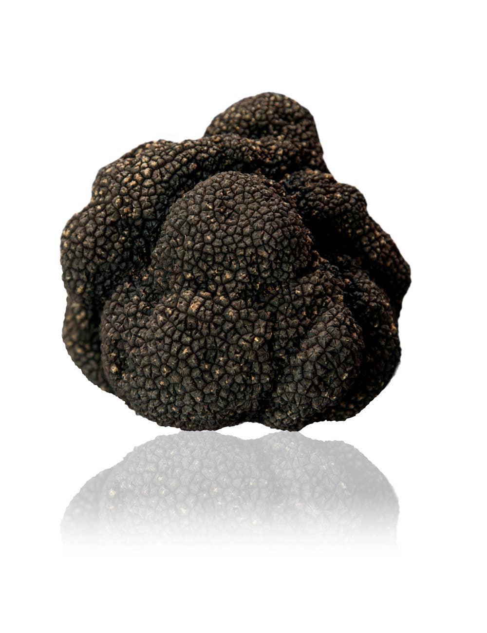 Selektia Tartufi - Tartufo Estivo (Tuber Aestivum Vitt.): 100 g