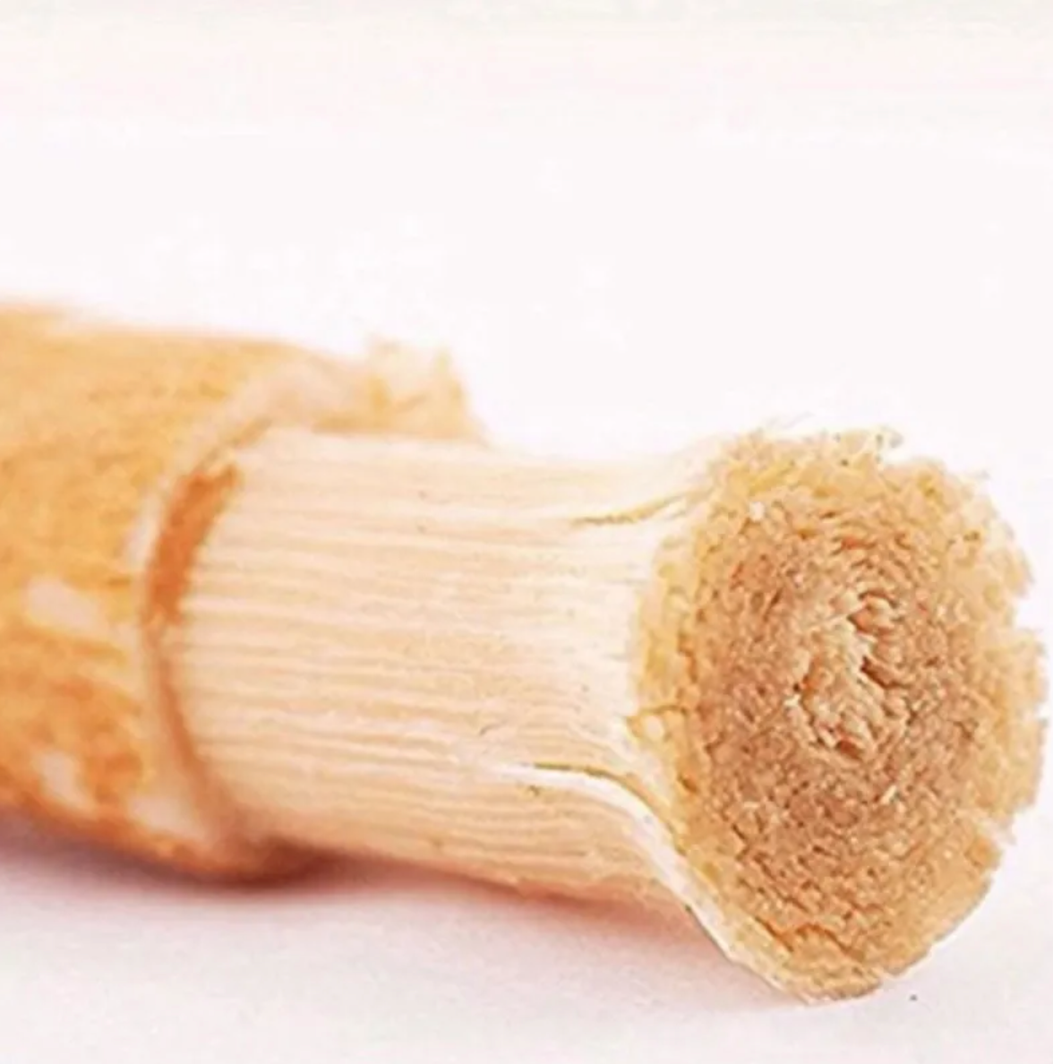 Miswak-Zahnputzstock