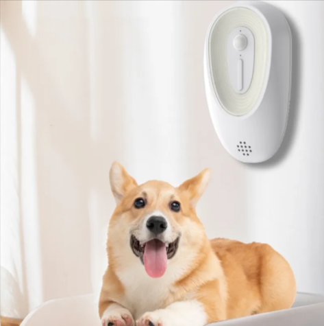Geruchsentferner für Katzentoiletten